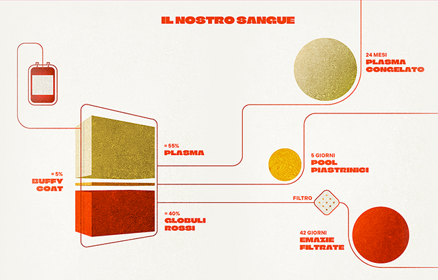 infografica senza scritte2